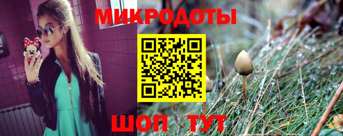 цена   Вход с VPN  Мыски  Псилоцибиновые грибы Cubensis  Псилоцибиновые грибы Psilocybine cubensis 